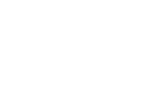 Eagles Nest logo